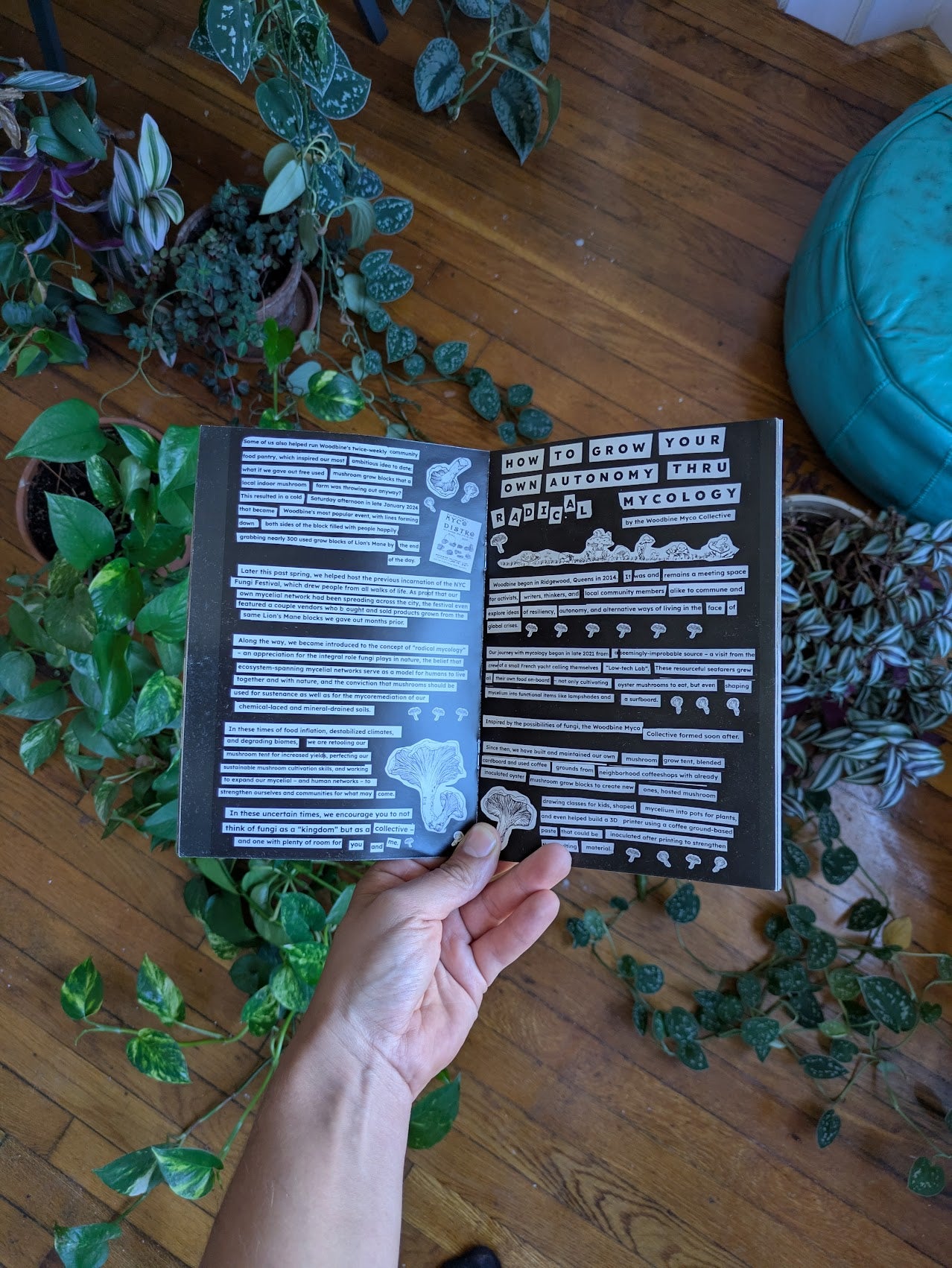 2024 NY Mushroom Kingdom Community Magazine — 1st Edition