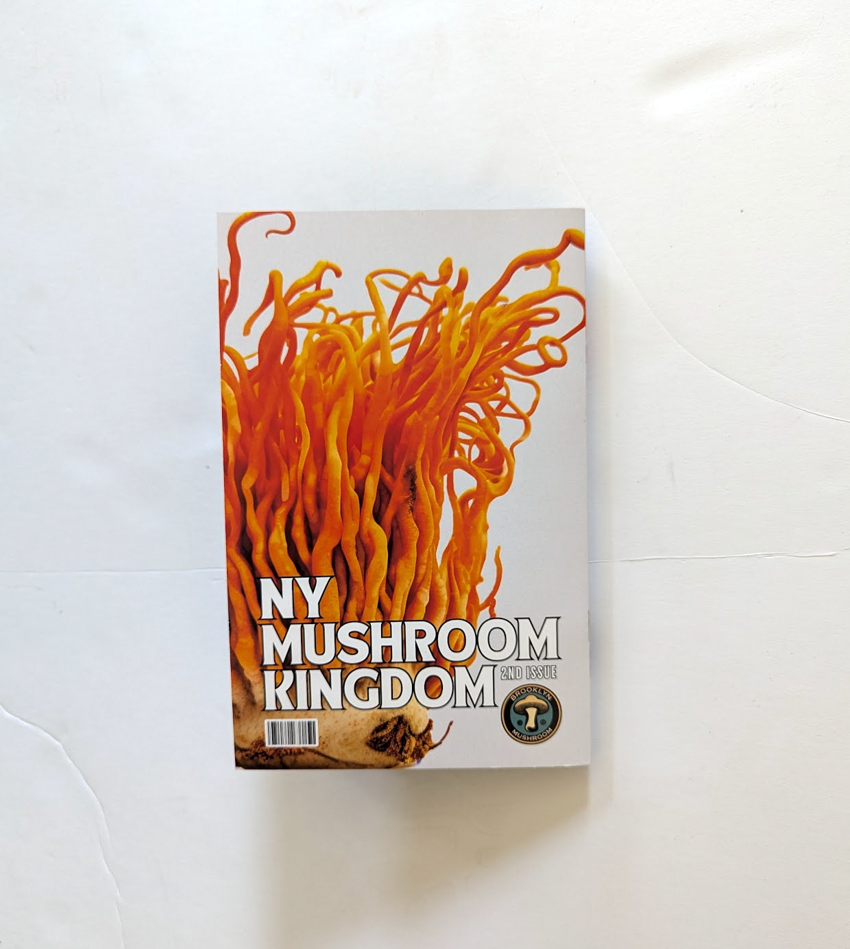 New York Mushroom Kingdom Zine (full color 40 pages) - Second Edition - Limited edition
