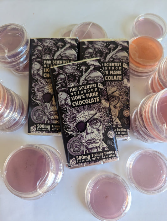 Mad scientist Lion's mane chocolate. Made in New York. (3 bar bundle)