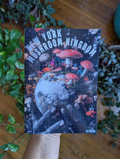 2024 NY Mushroom Kingdom Community Magazine — 1st Edition