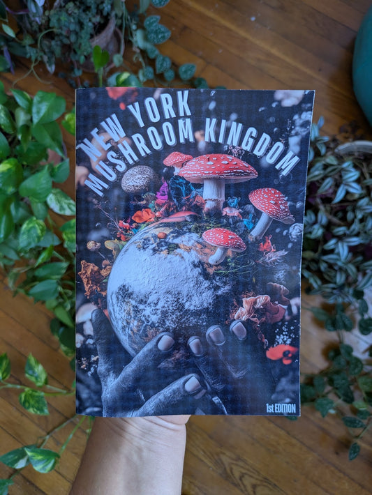 2024 NY Mushroom Kingdom Community Magazine — 1st Edition